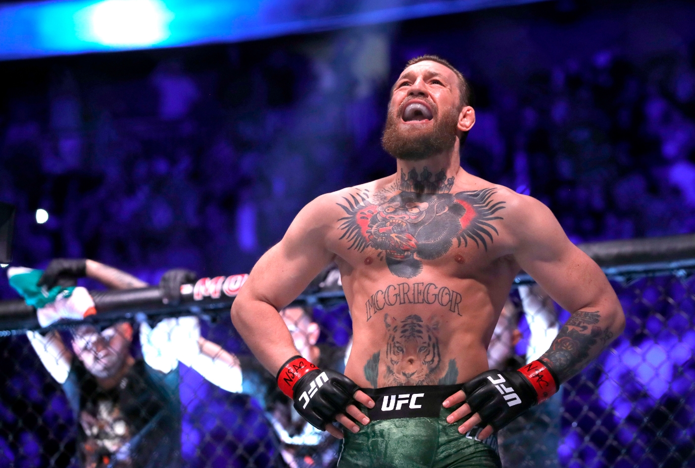 McGregorova podivného trollování Ilia Topuria